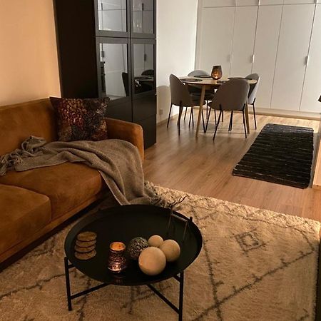 Amazing City Center Apartment Рованіемі Екстер'єр фото