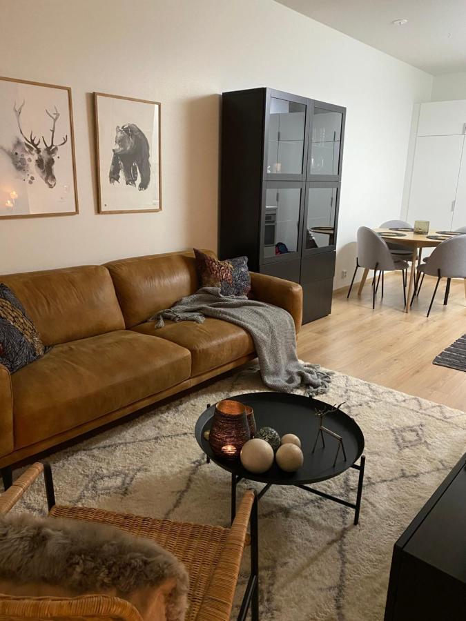 Amazing City Center Apartment Рованіемі Екстер'єр фото