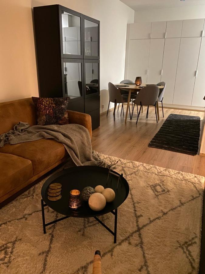 Amazing City Center Apartment Рованіемі Екстер'єр фото
